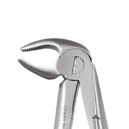 GDC Extraction Forceps Premium In Pouch Premium (EFPP12) - 11