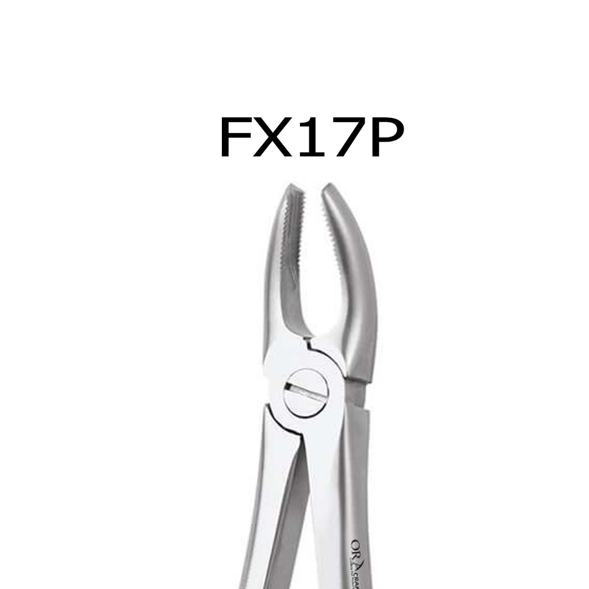 Oracraft Upper Molar Right Extraction Forceps - Premium (FX17P)