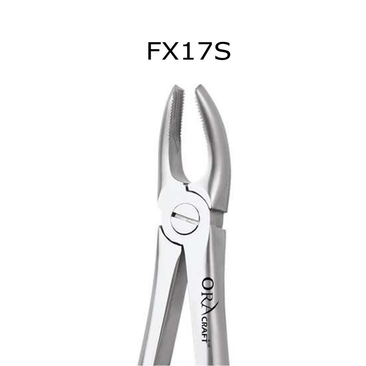 Oracraft Upper Molars Right Extraction Forceps - Standard (FX17S)