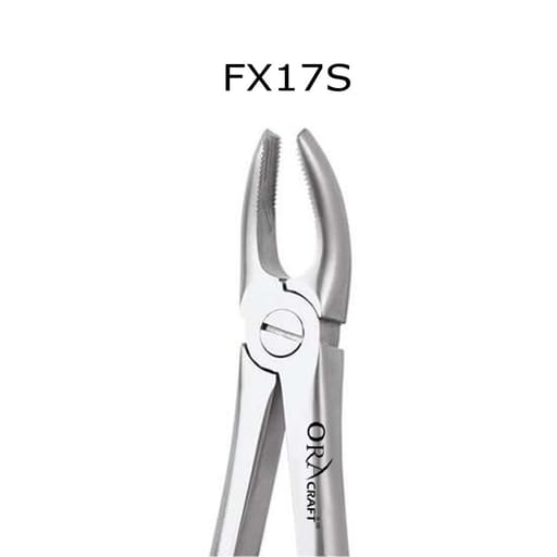Oracraft Extraction Forceps Standard