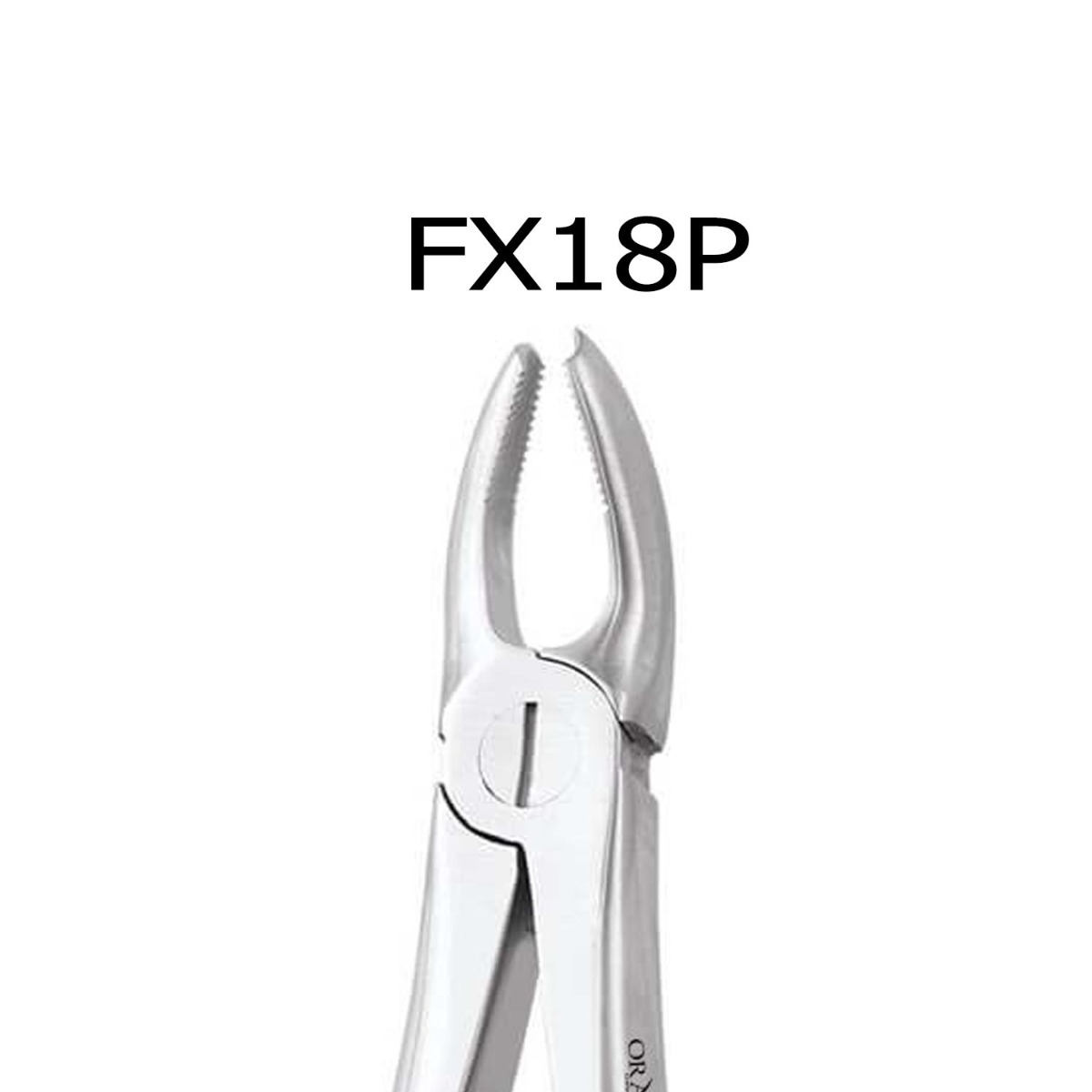 Oracraft  Extraction Forceps Premium
