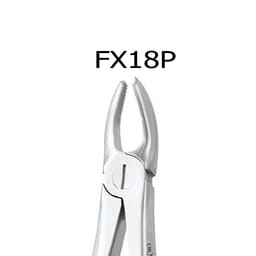 Oracraft  Extraction Forceps Premium - 4