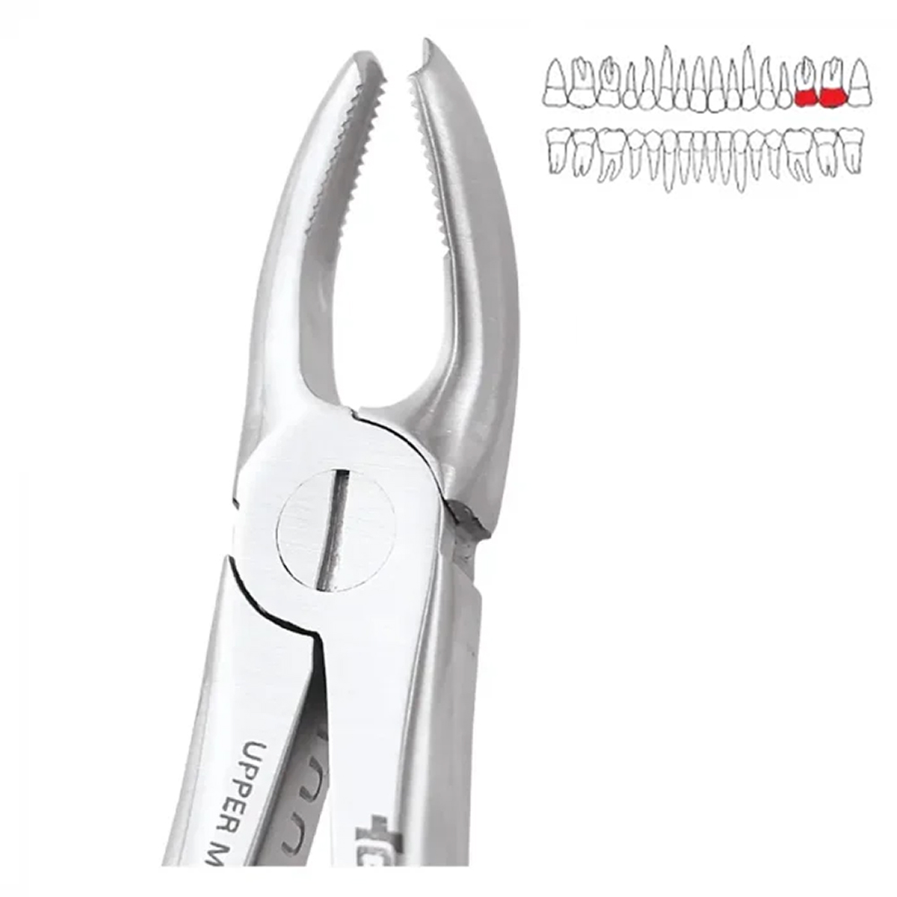 GDC Extraction Forceps Upper Molar Left Standard (FX18S)