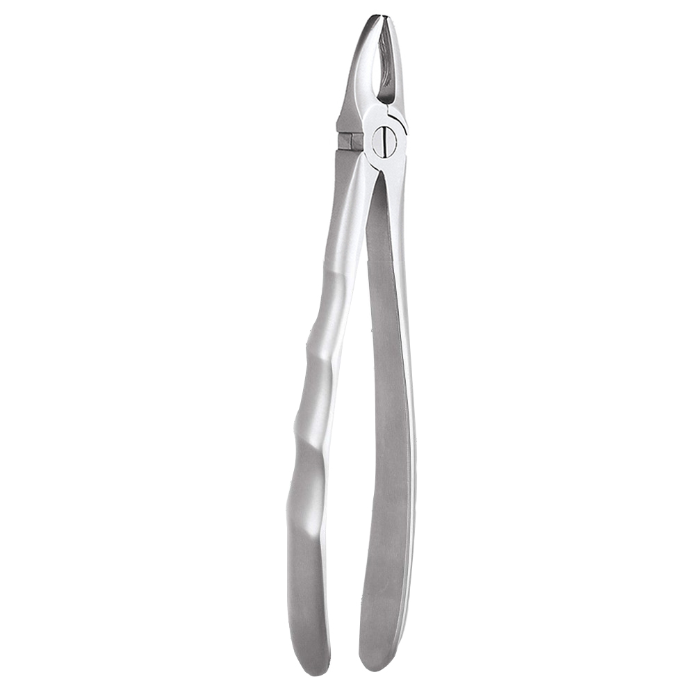 GDC Extraction Forceps Upper Anteriors - 1 Ergonomic (Fx1e)