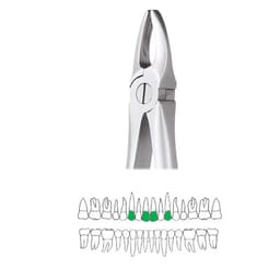 GDC Extraction Forceps Upper Anteriors - 1 Premium (FX1P)