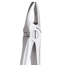 GDC Extraction Forceps Premium In Pouch Premium (EFPP12) - 13