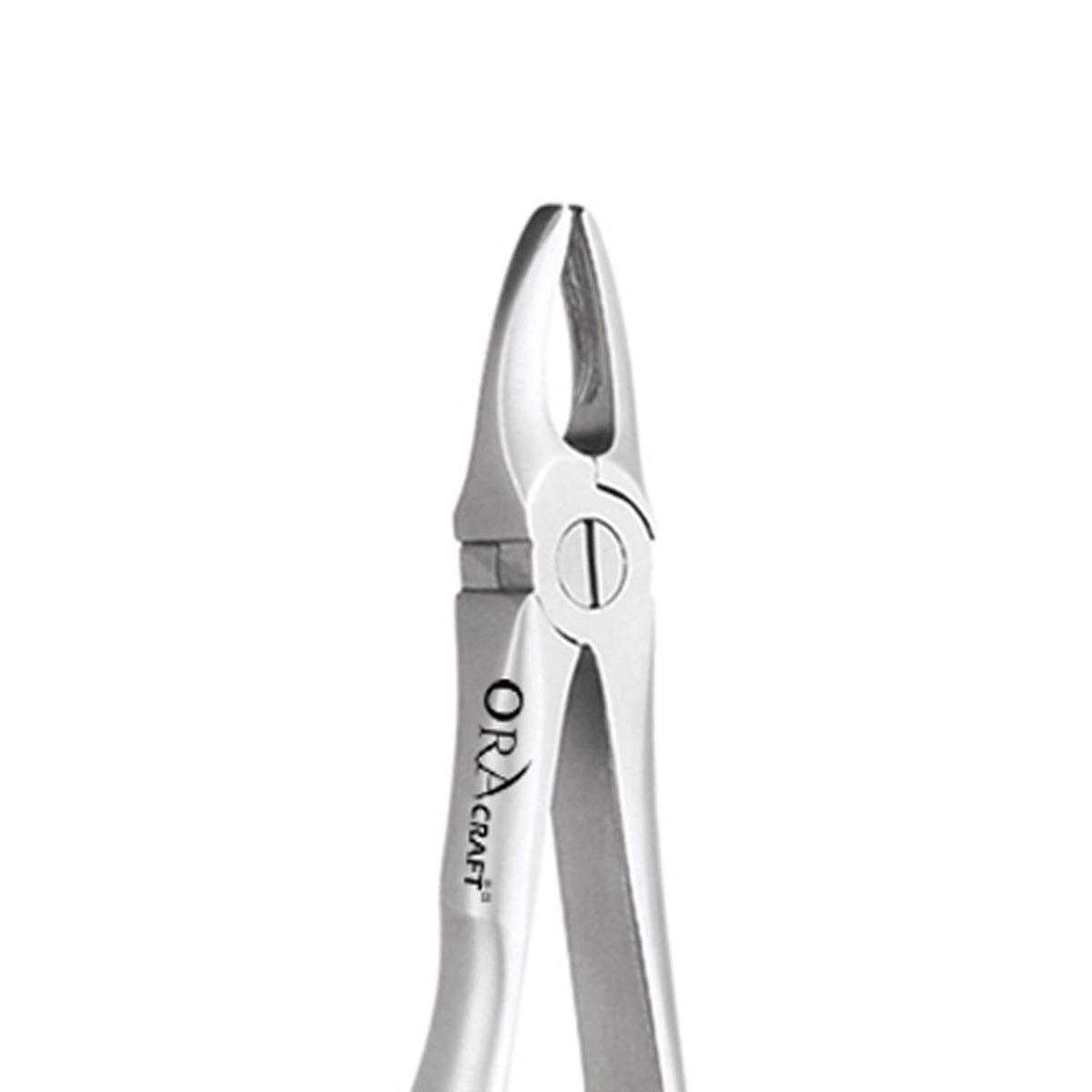 Oracraft Upper Anterior Extraction Forceps - Standard (FX1S)