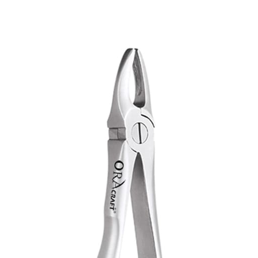 Oracraft Upper Anterior Extraction Forceps - Standard (FX1S)