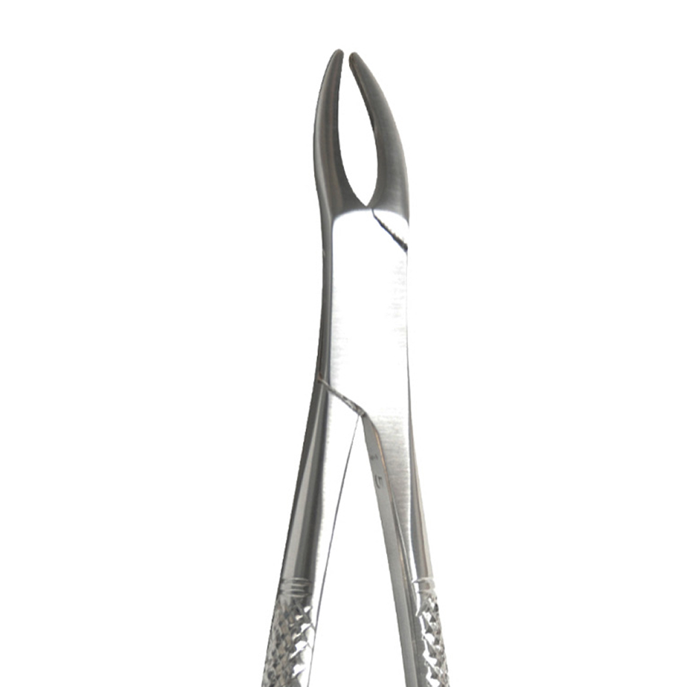 GDC Extraction Forceps Universal For Upper Roots (FX221)