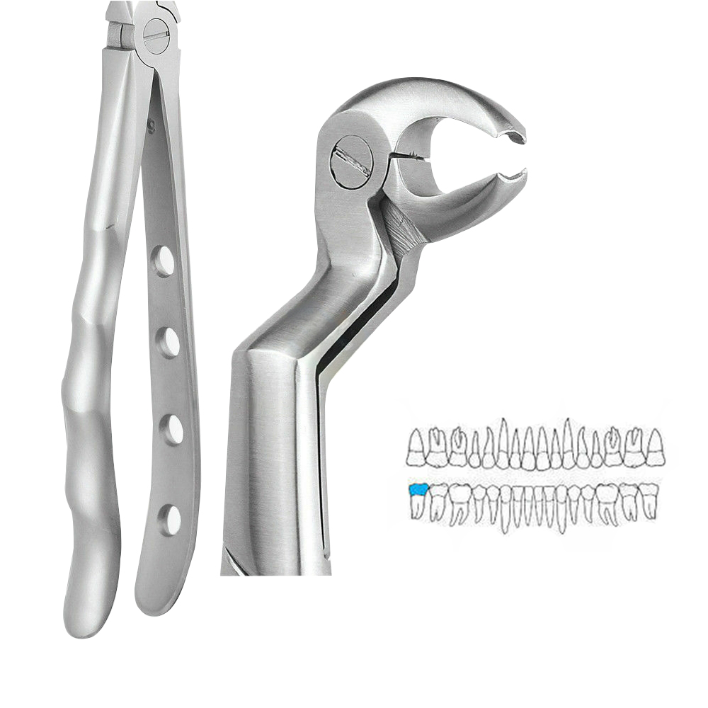 GDC Extraction Forceps Lower Molars And Wisdoms Right - Premium (Fx22 1/2rp)
