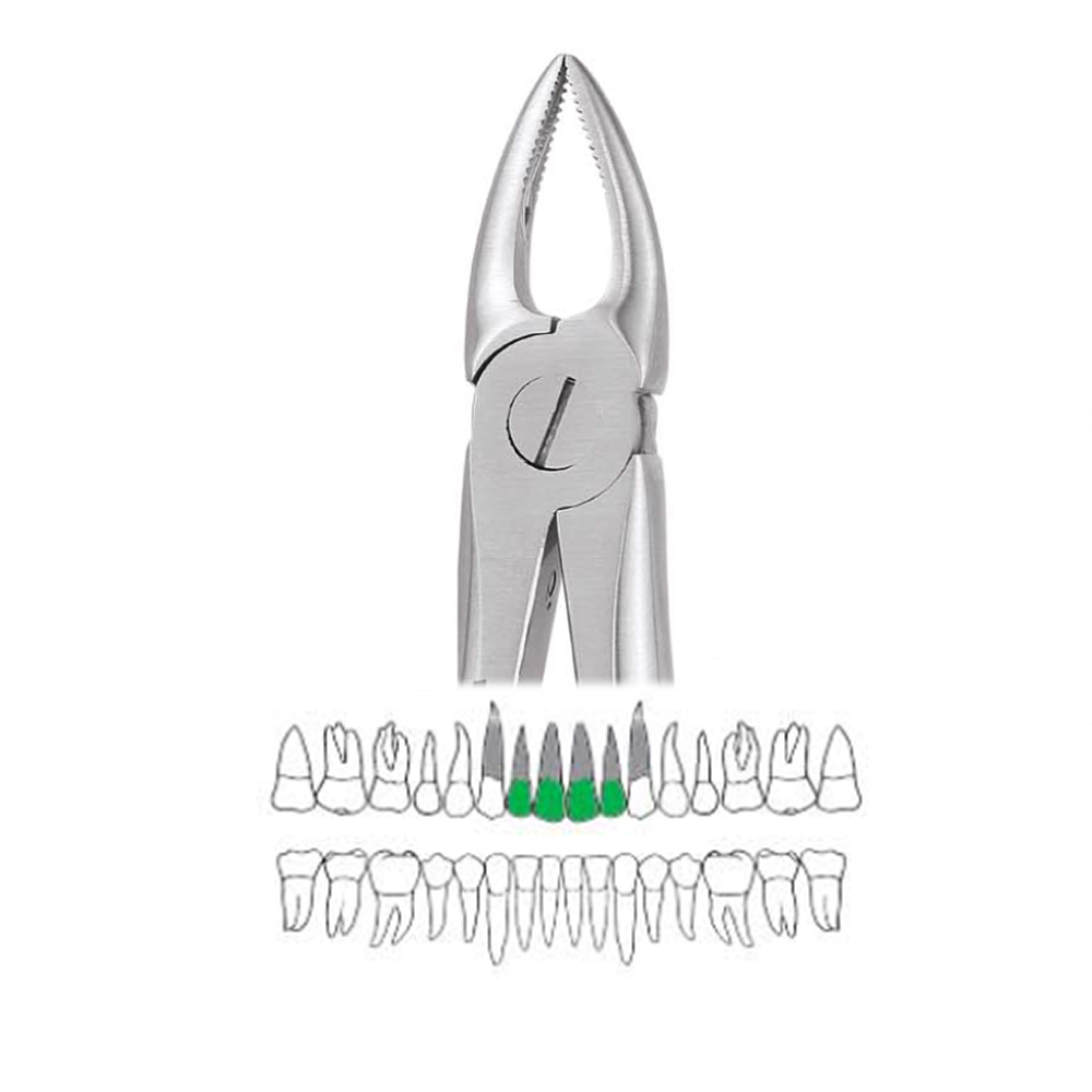 GDC Extraction Forceps Upper Roots Narrow - 29n Standard (Fx29ns)