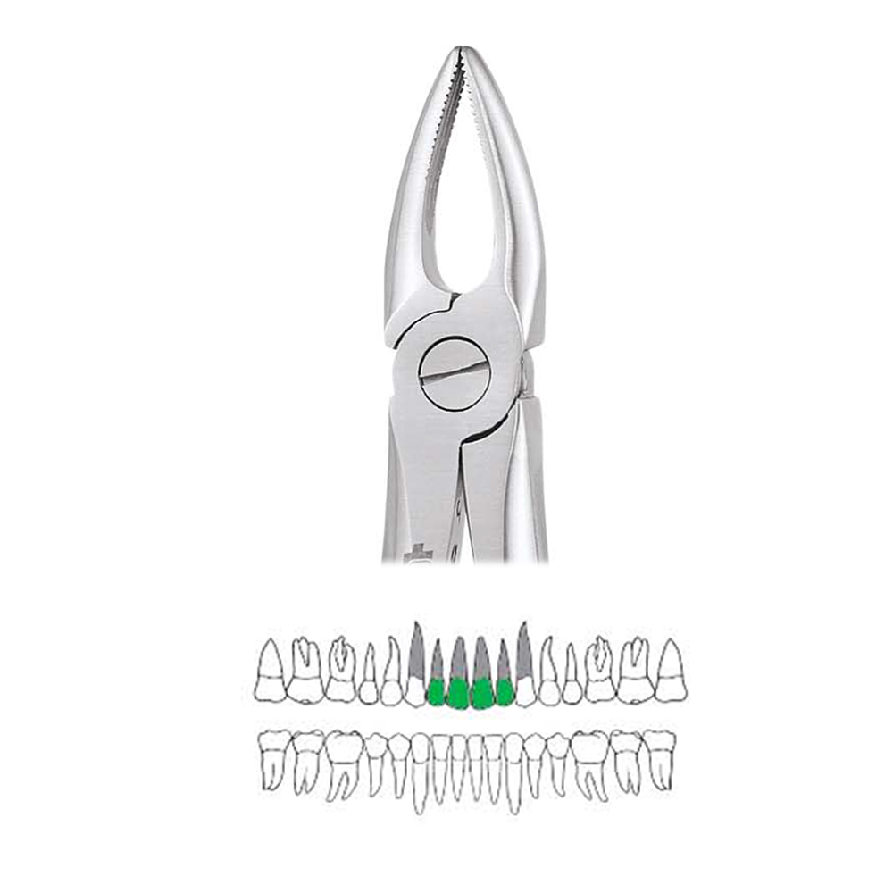 GDC Extraction Forceps Upper Roots - 29 Standard (FX29S)