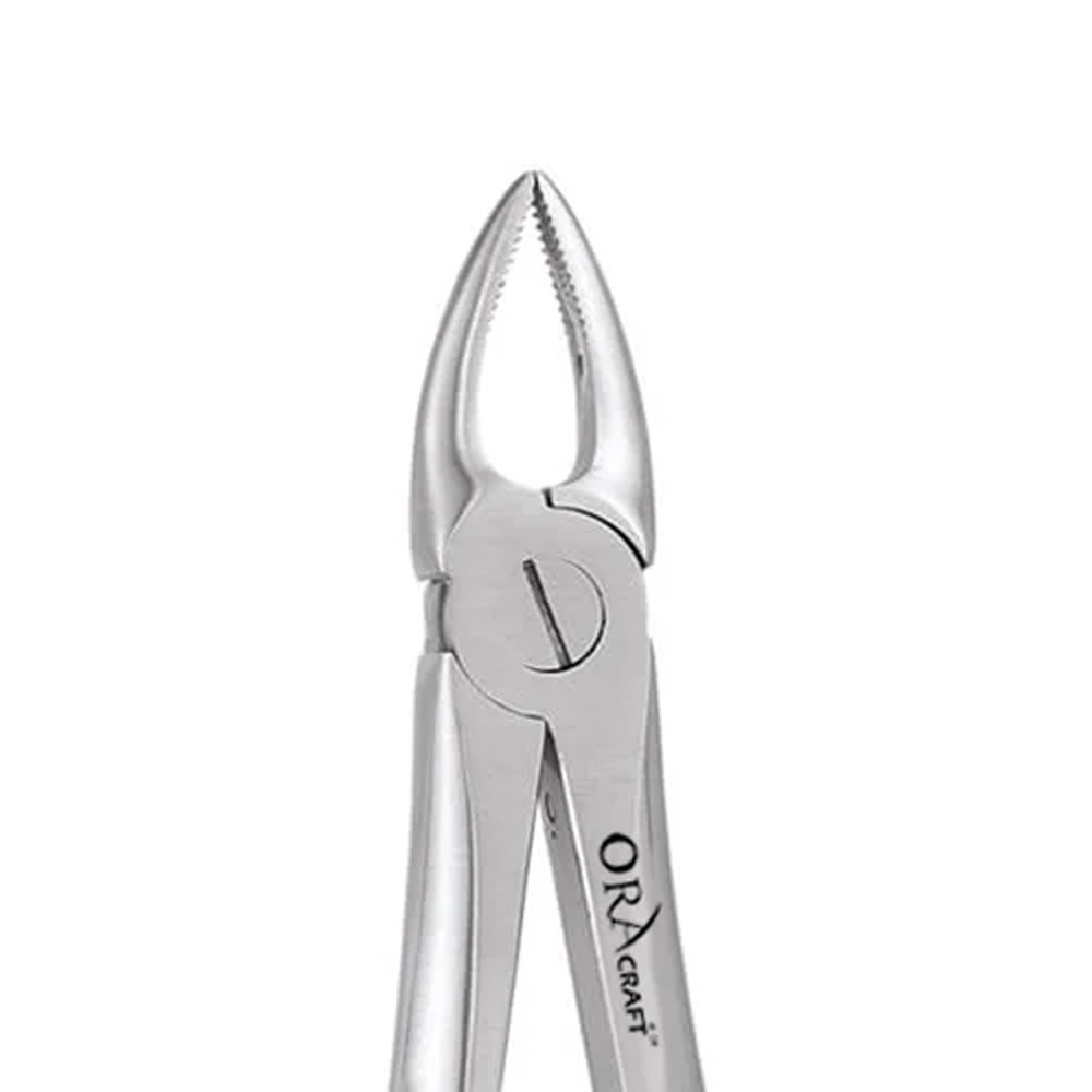 Oracraft Upper Roots Extraction Forceps - Premium (FX29P)