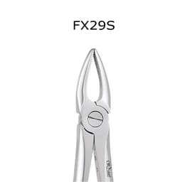 Oracraft Upper Roots Extraction Forceps - Standard (FX29S)