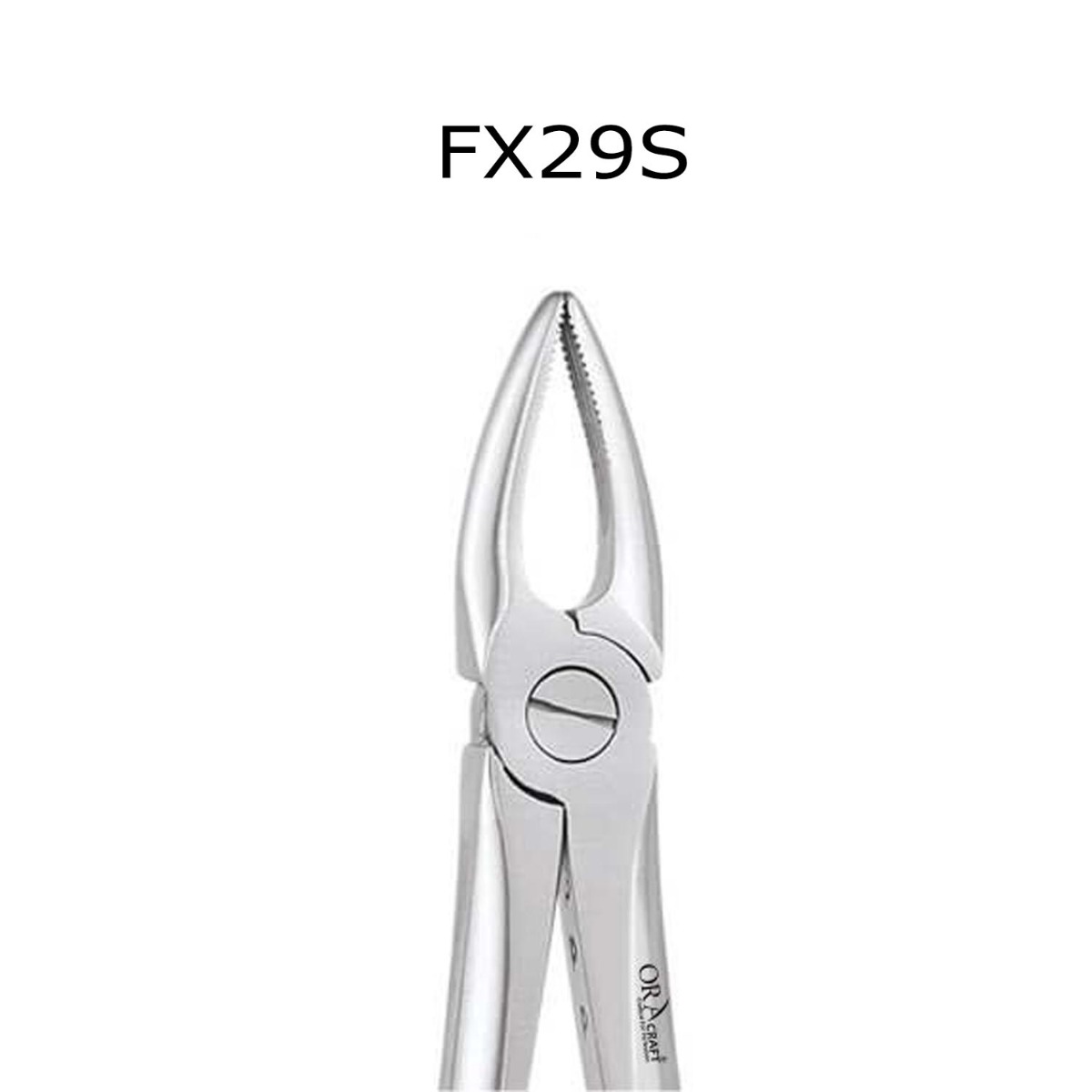 Oracraft  Extraction Forceps Standard