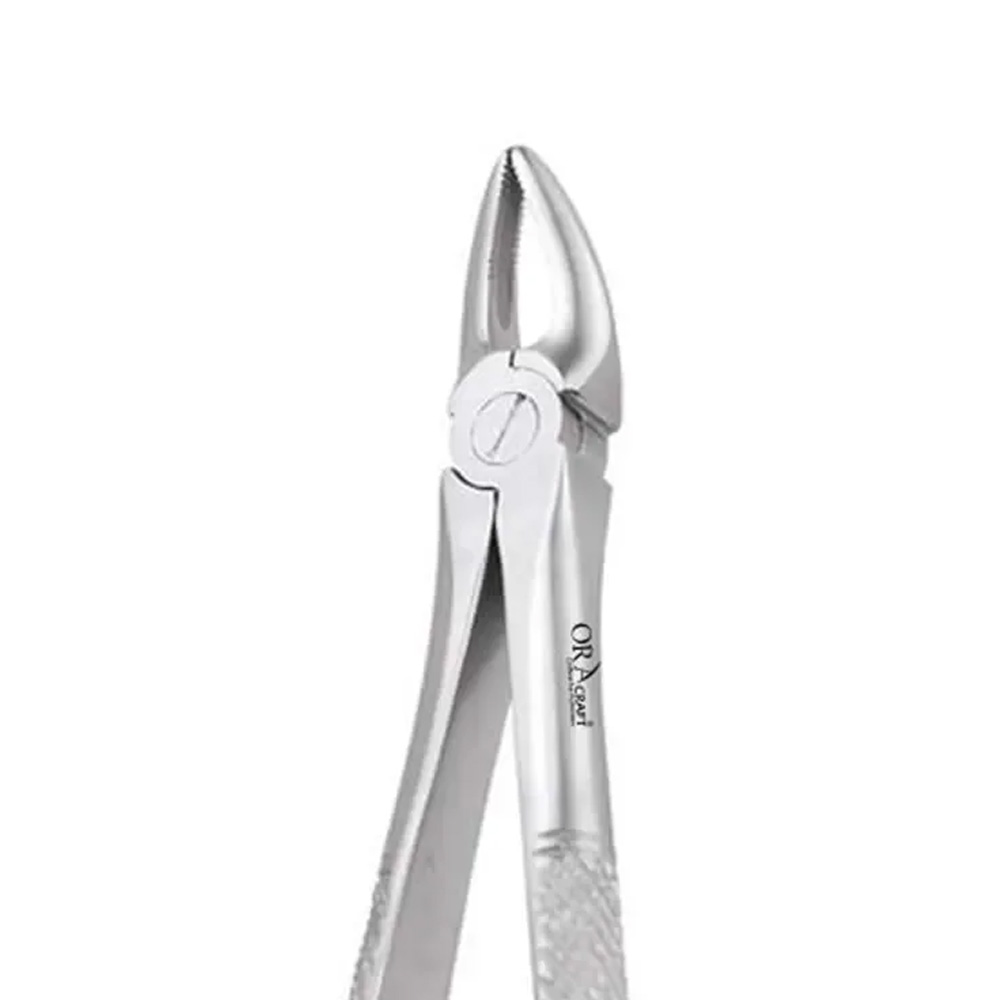 Oracraft  Extraction Forceps Standard