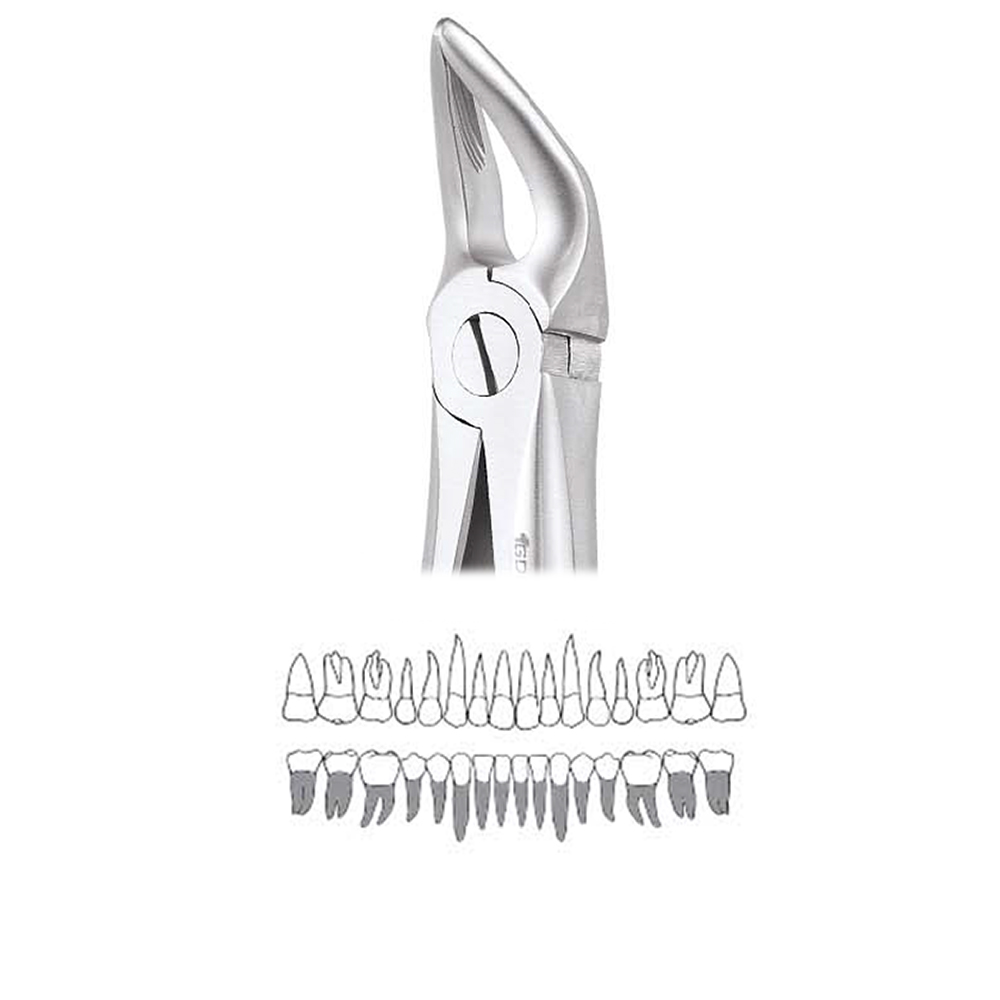 GDC Extraction Forceps Lower Roots - 31 Standard (FX31S)