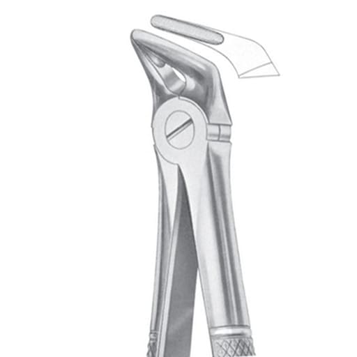 GDC Extraction Forceps Lower Roots - 31 Standard (FX31S)