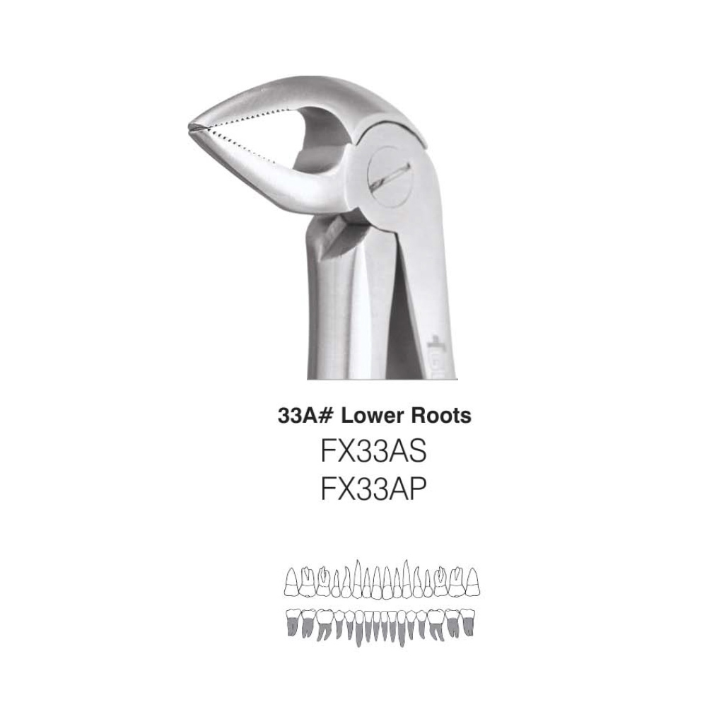GDC Extraction Forceps Lower Roots Premium - (FX33AP)