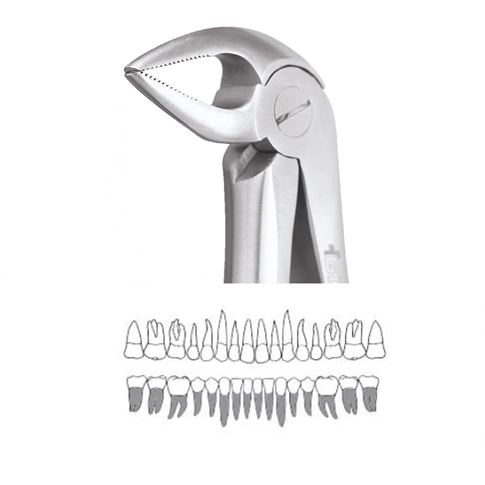 GDC Extraction Forceps Lower Roots - 33A Standard (FX33AS)