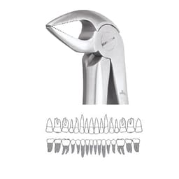 GDC Extraction Forceps Lower Roots - 33A Standard (FX33AS)