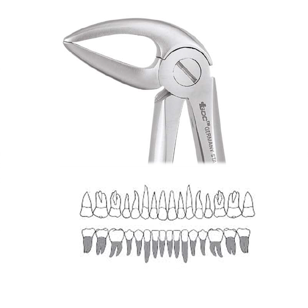 GDC Extraction Forceps Lower Roots 33L - Premium (FX33LP)