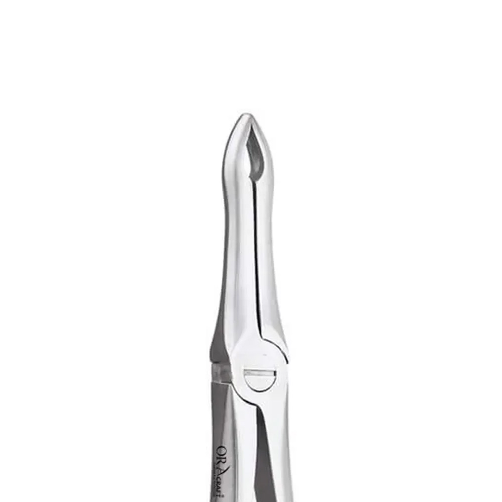 Oracraft Upper Roots Extraction Forceps - Premium (FX41P)