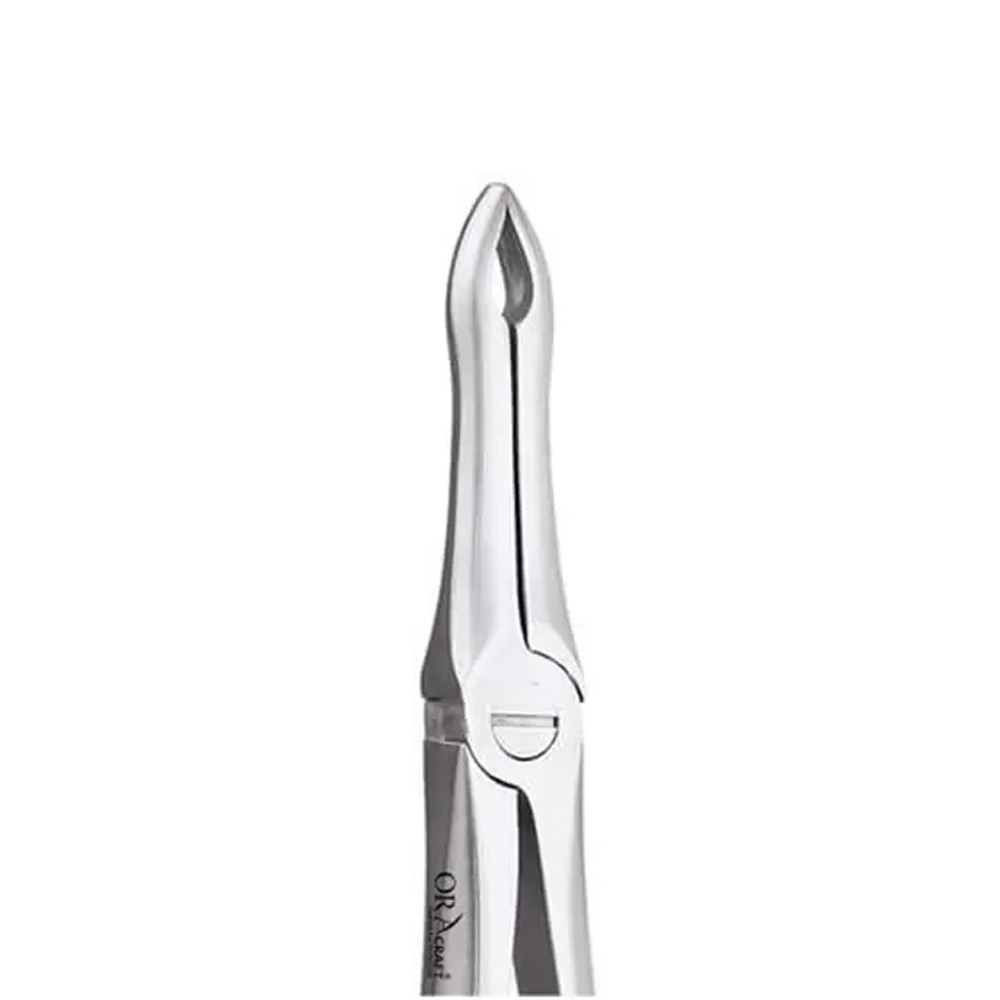 Oracraft Upper Roots Extraction Forceps - Standard (FX41S)