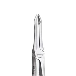 Oracraft  Extraction Forceps Standard - 7