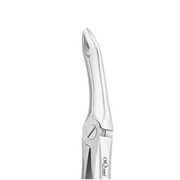 Oracraft  Extraction Forceps Standard - 8
