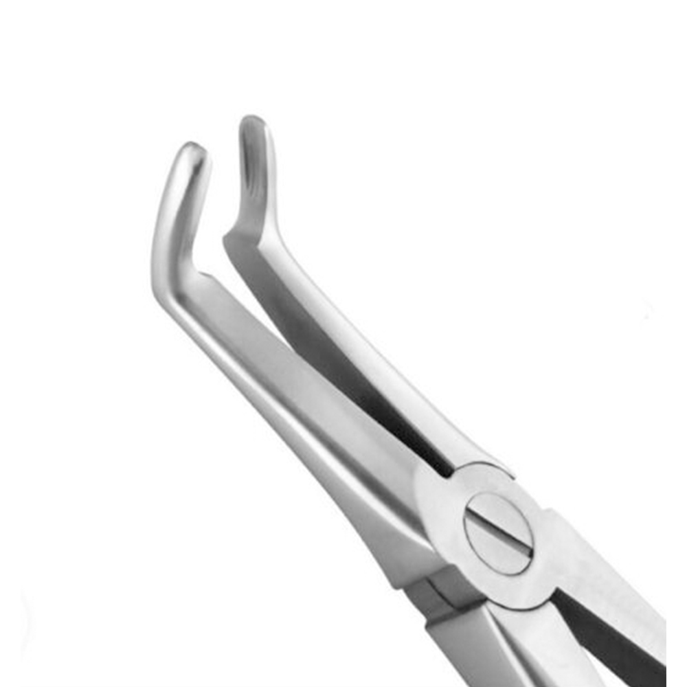 GDC Extraction Forceps Lower Roots Premium - (FX45P)