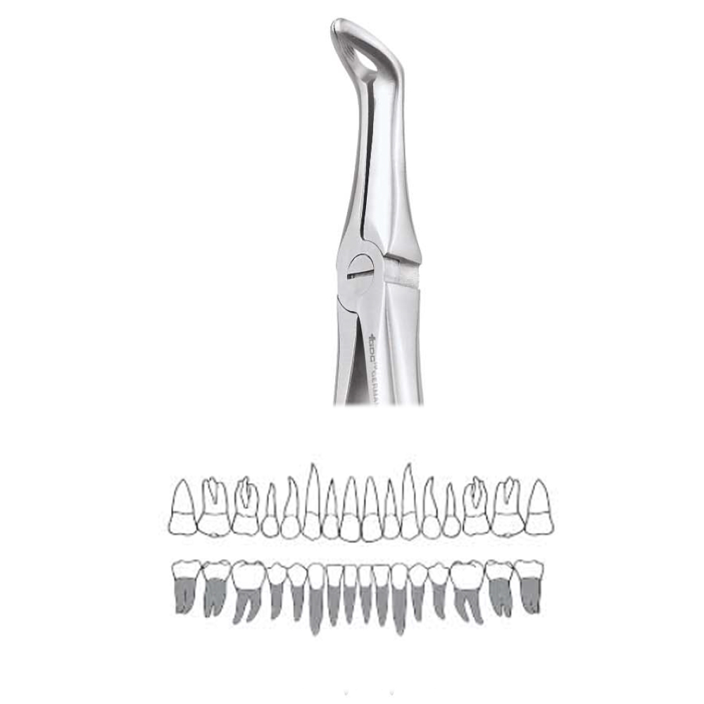 GDC Extraction Forceps Lower Roots - 45 Standard (Fx45s)