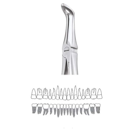 GDC Extraction Forceps Lower Roots - 45 Standard (Fx45s)