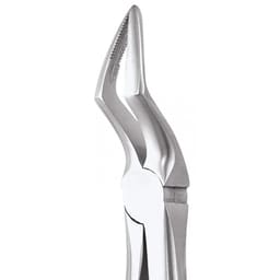 GDC Extraction Forceps Premium In Pouch Premium (EFPP12) - 8
