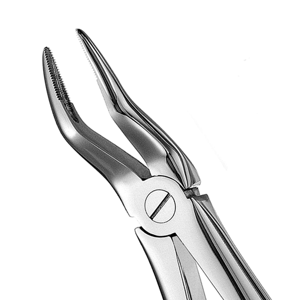 GDC Extraction Forceps Upper Roots - 51 Standard (FX51S)