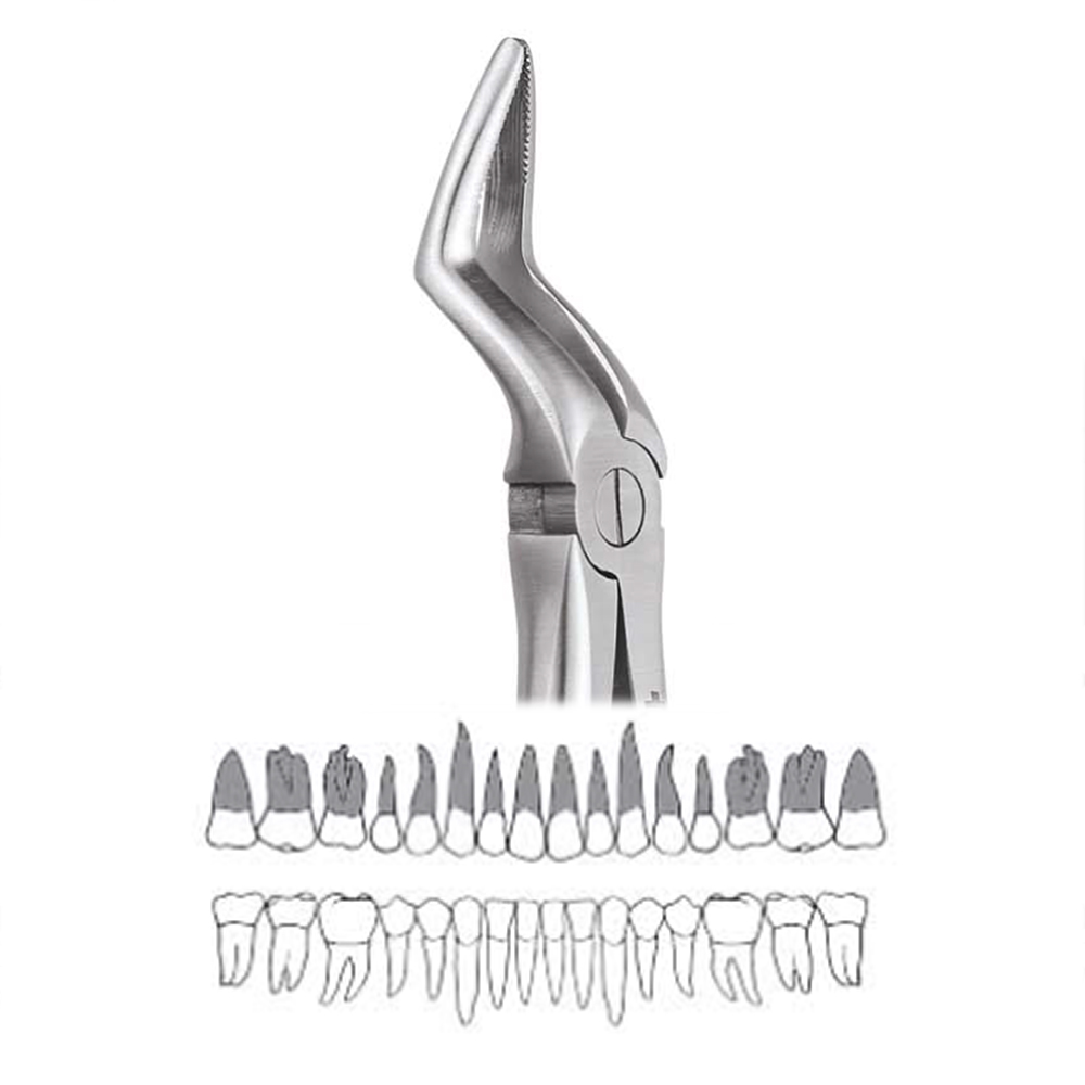 GDC Extraction Forceps Upper Roots - 51 Standard (FX51S)