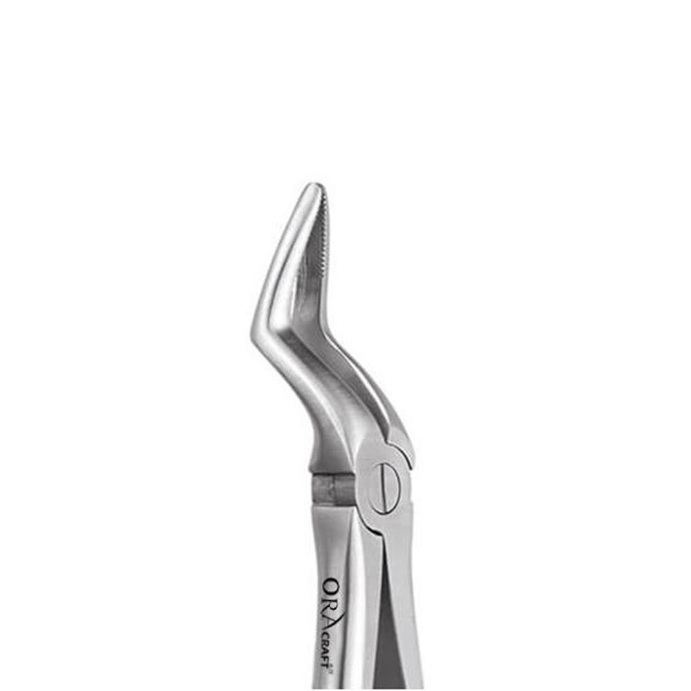 Oracraft  Extraction Forceps Standard