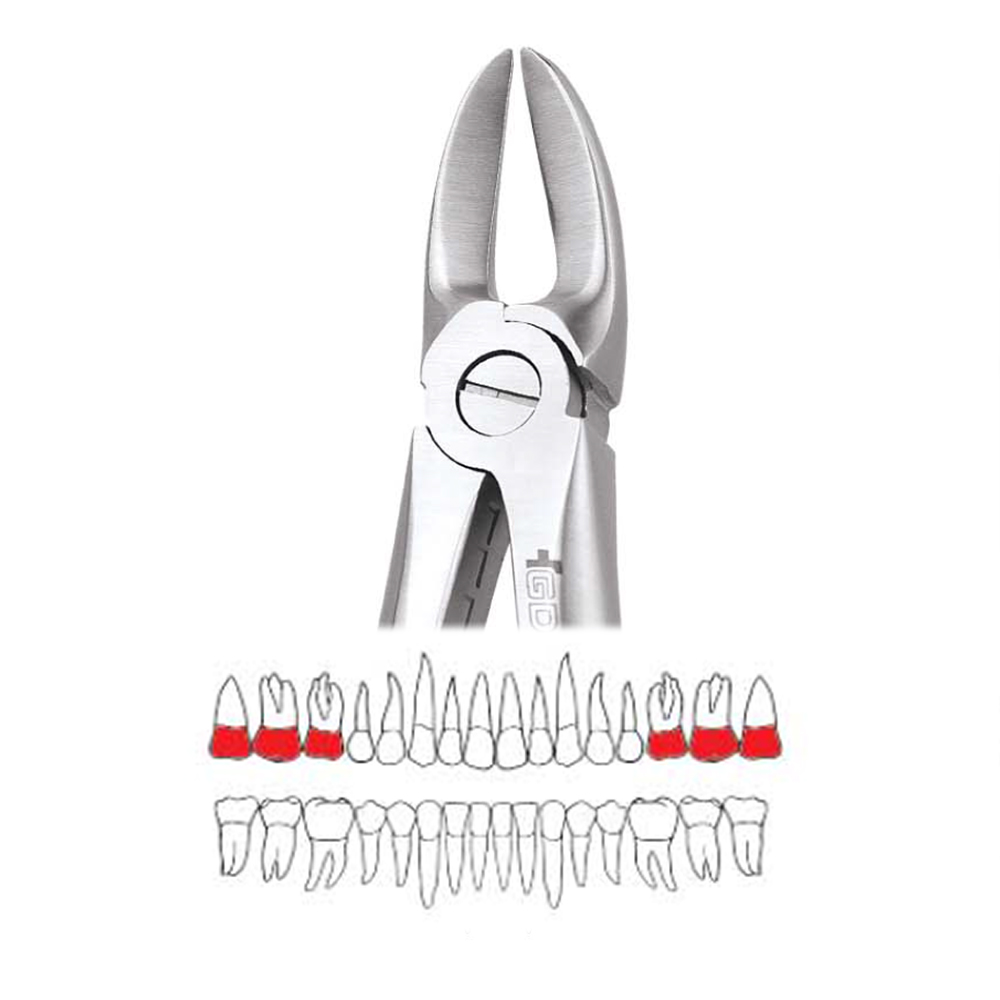 GDC Extraction Forceps Separating Upper Molars - 55 Standard (FX55S)
