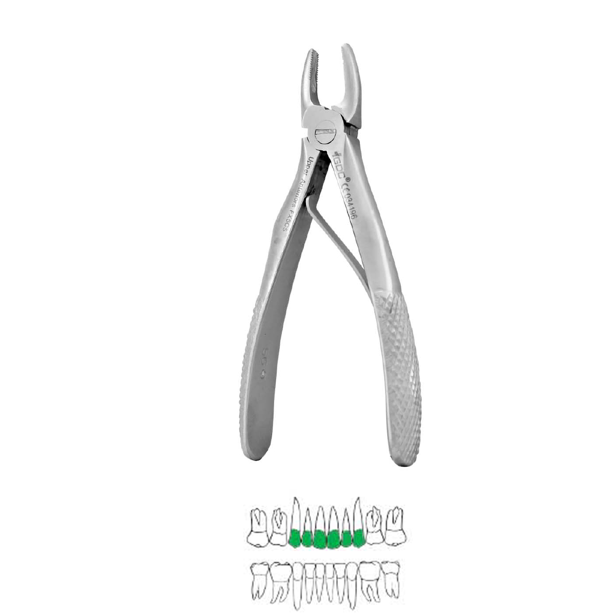 GDC Extraction Forcep Upper Anterior Pedo Standard (FX5CS)