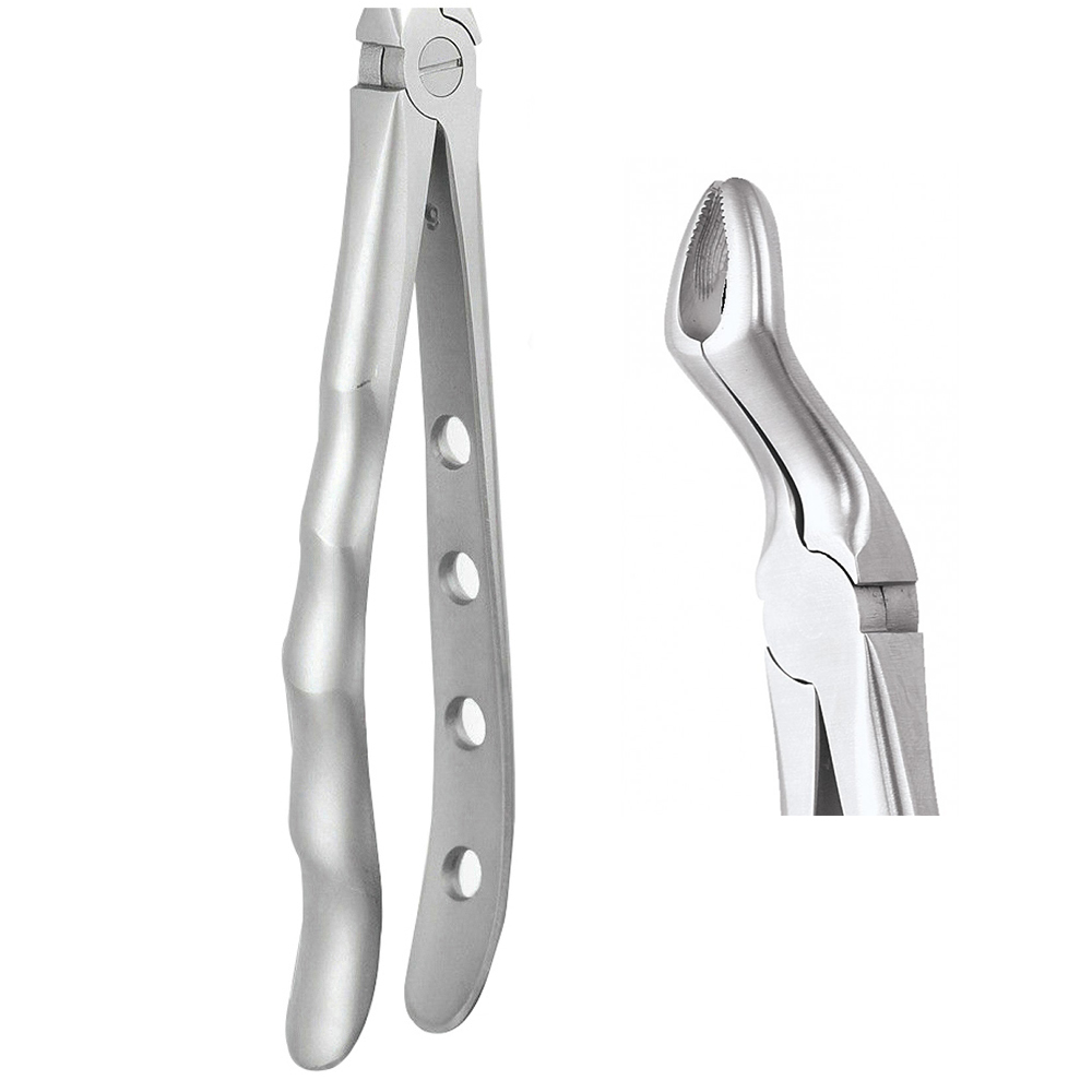 GDC Extraction Forceps Upper Third Molars - 67a Premium (Fx67ap)