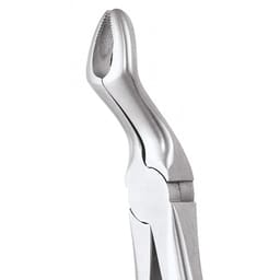 GDC Extraction Forceps Premium In Pouch Premium (EFPP12) - 7