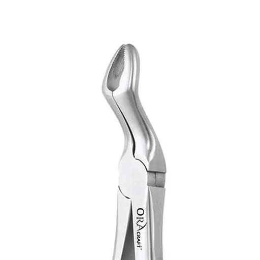 Oracraft Extraction Forceps Standard