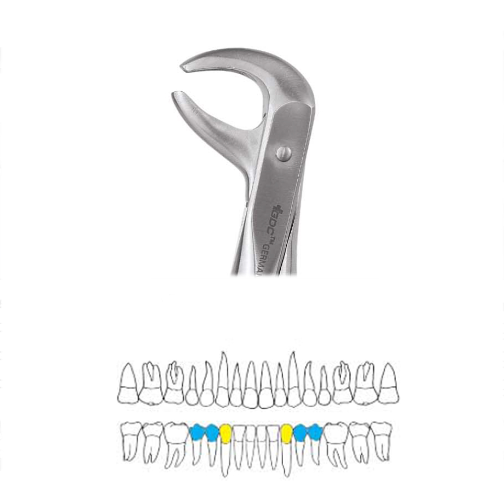 GDC Extraction Forceps Lower Premolars - 75 Standard (Fx75s)