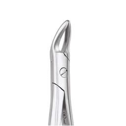 Oracraft Upper Roots Extraction Forceps - Standard (FX76NS)