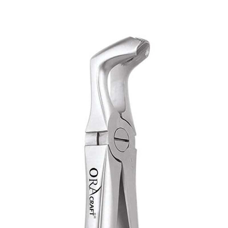 Oracraft Lower Third Molar Extraction Forceps Standard - FX79S