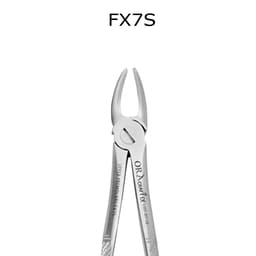 Oracraft  Extraction Forceps Standard - 2