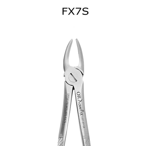 Oracraft Extraction Forceps Standard