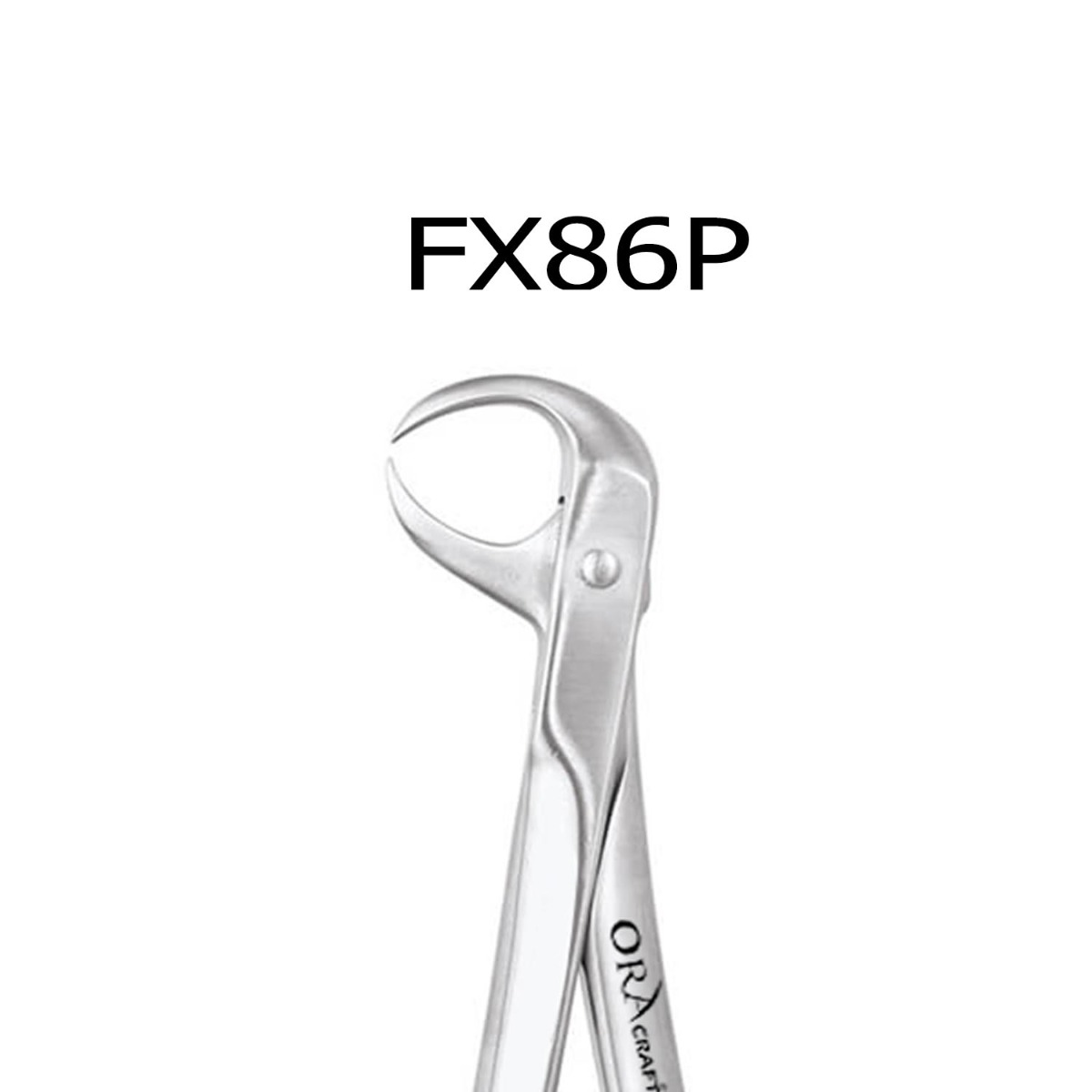 Oracraft Lower Molars Extraction Forceps - Premium (FX86P)