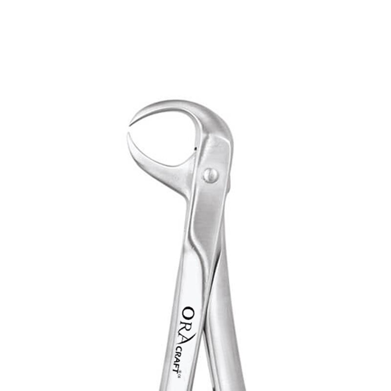Oracraft Cowhorn Lower Molar Extraction Forceps - FX86S