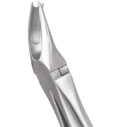 GDC Extraction Forceps Premium In Pouch Premium (EFPP12) - 3